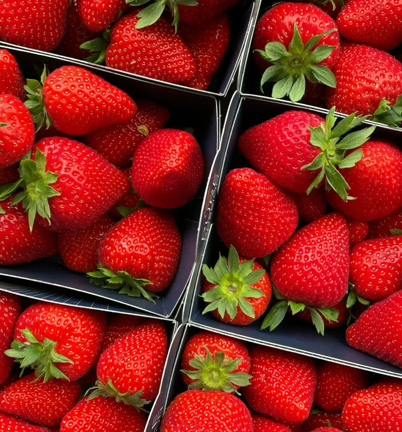 fresh strawberries in produce trays