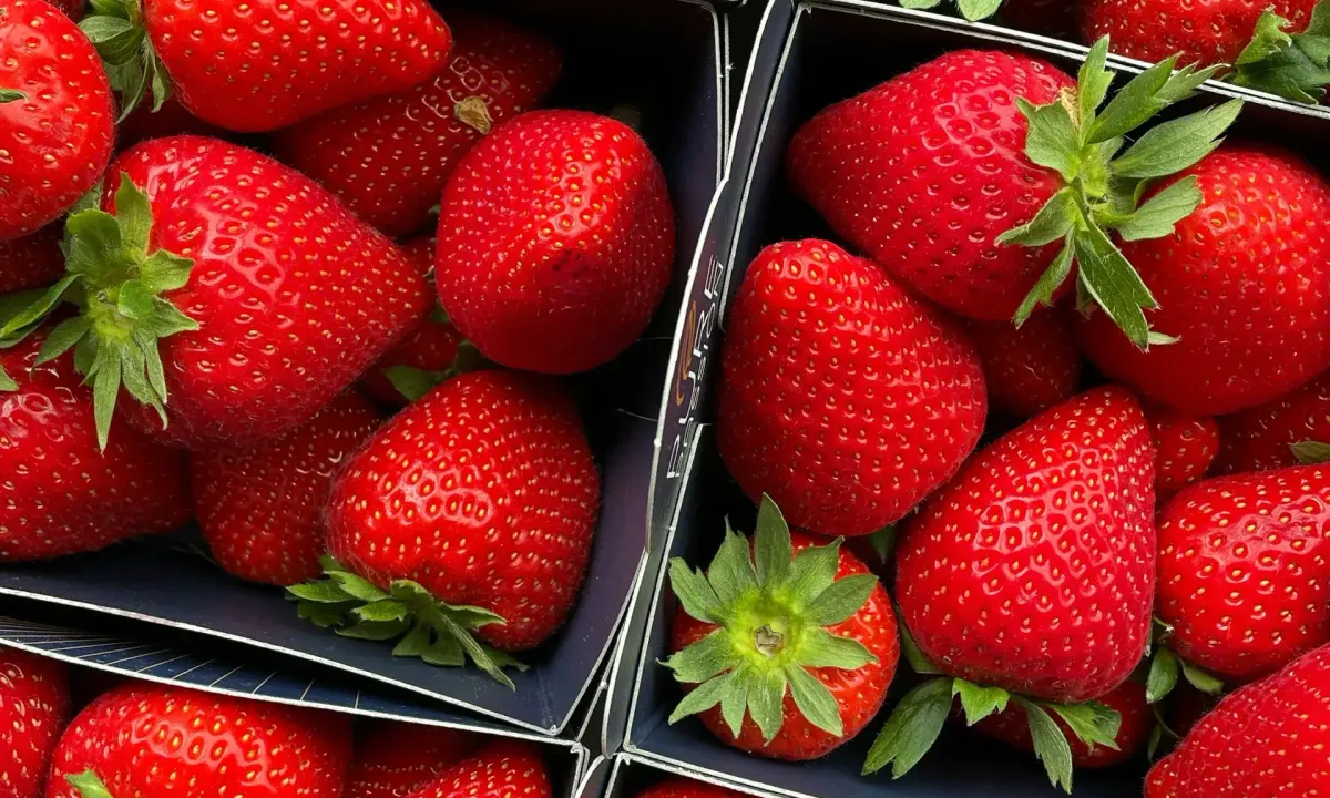 fresh strawberries in produce trays
