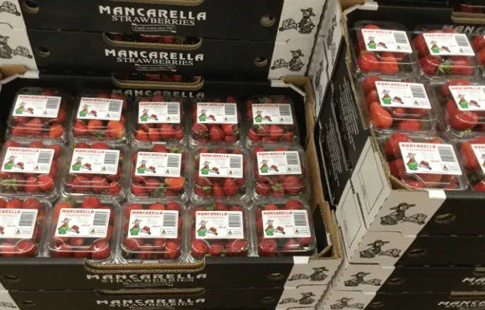 mancarella strawberries packed produce